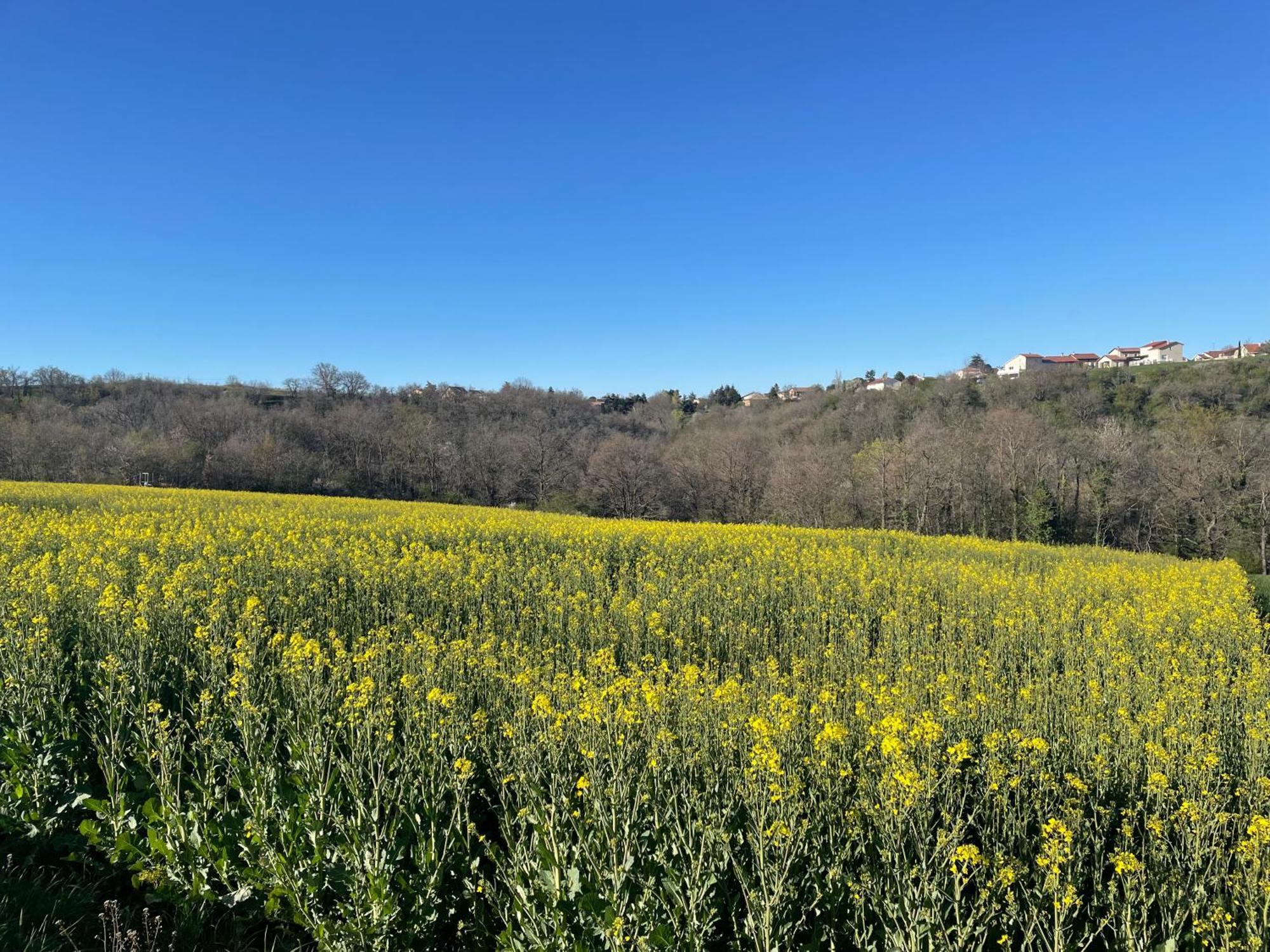 Maison De Village Coeur Andeol Saint-Andeol-le-Chateau ภายนอก รูปภาพ